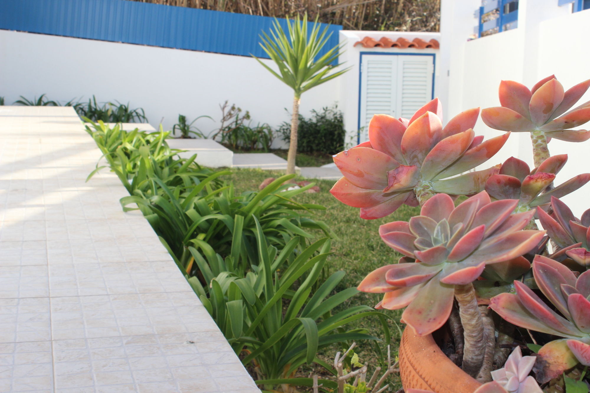 Ericeira Chill Hill Hostel & Private Rooms - Sea Food Extérieur photo